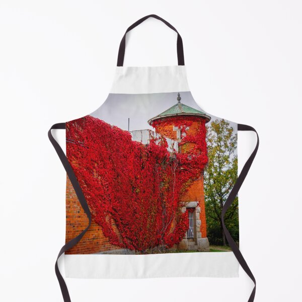 Item preview, Old Castlemaine Gaol  designed and sold by D-GaP.