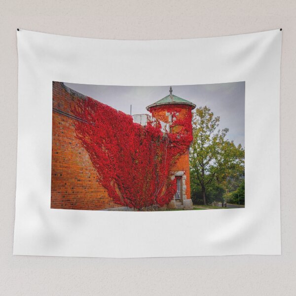 Item preview, Old Castlemaine Gaol  designed and sold by D-GaP.