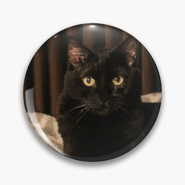 Item preview, Suki ❤️ designed and sold by heatherfriedman.