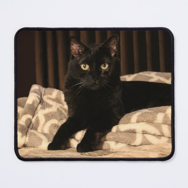 Item preview, Suki ❤️ designed and sold by heatherfriedman.