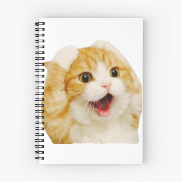 Aperçu de l'œuvre Mème drôle d'un chat qui crie et qui est choqué créée et vendue par TeeStyle.mr.