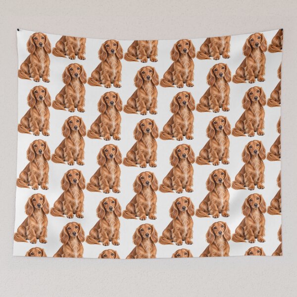 Item preview, Long haired dachshund mini Dog designed and sold by BackgroundND.