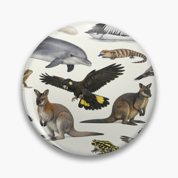 Item preview, Animals of New South Wales Retro Style Identification Chart designed and sold by kakarikihill.