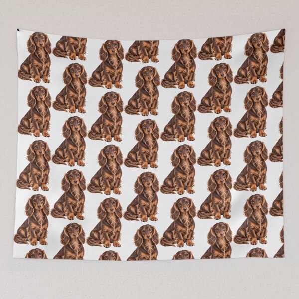 Item preview, Long haired dachshund mini Dog chocolate and tan designed and sold by BackgroundND.