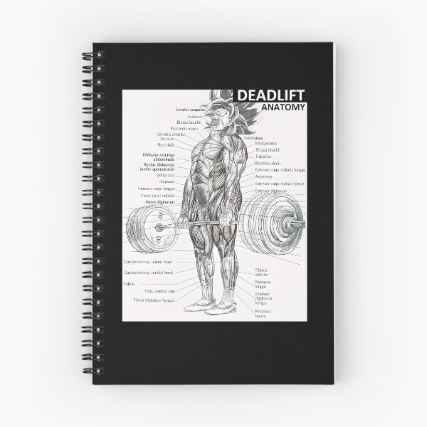 Item preview, Deadlift Muscle Chart - Anatomy Diagram - Anime Gym Motivational designed and sold by maudegd.