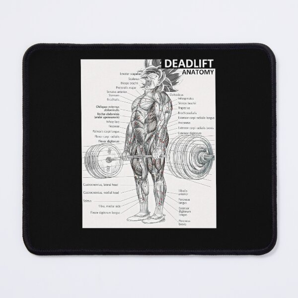 Item preview, Deadlift Muscle Chart - Anatomy Diagram - Anime Gym Motivational designed and sold by maudegd.