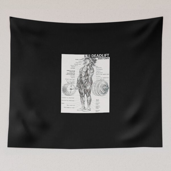 Item preview, Deadlift Muscle Chart - Anatomy Diagram - Anime Gym Motivational designed and sold by maudegd.