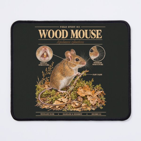 Item preview, Wood Mouse Scientific Illustration Natural History Study designed and sold by CalmCapy Co.