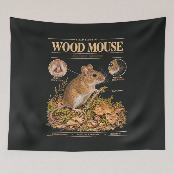 Item preview, Wood Mouse Scientific Illustration Natural History Study designed and sold by CalmCapy Co.