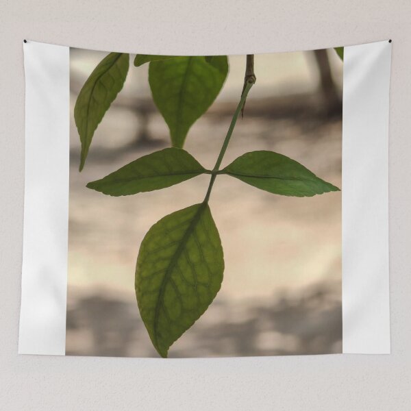 Item preview, Summer Beach Memories designed and sold by Emmanette.