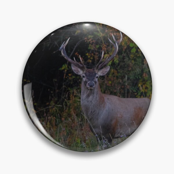 Item preview, Autumn King of the Forest designed and sold by Medve Photography & Design.