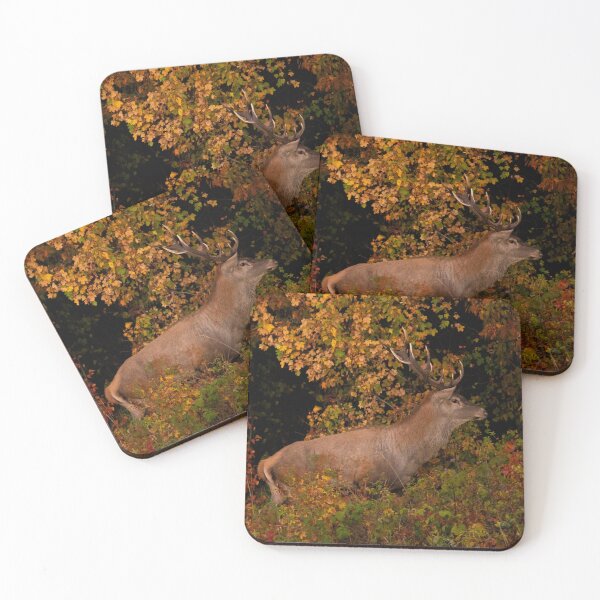 Item preview, Red Deer Stag in Autumn Colors designed and sold by Medve Photography & Design.