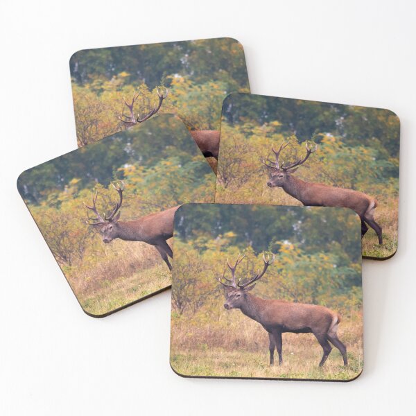 Item preview, Autumn Majesty – Red Deer Stag designed and sold by gabormedve.