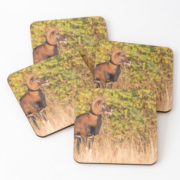 Item preview, Mouflon Ram in Golden Autumn Light designed and sold by gabormedve.