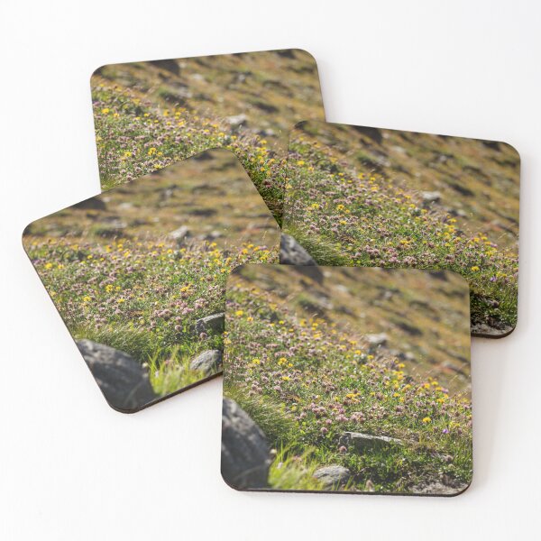Item preview, Alpine Wildflowers in Golden Light designed and sold by alicjamiekina.