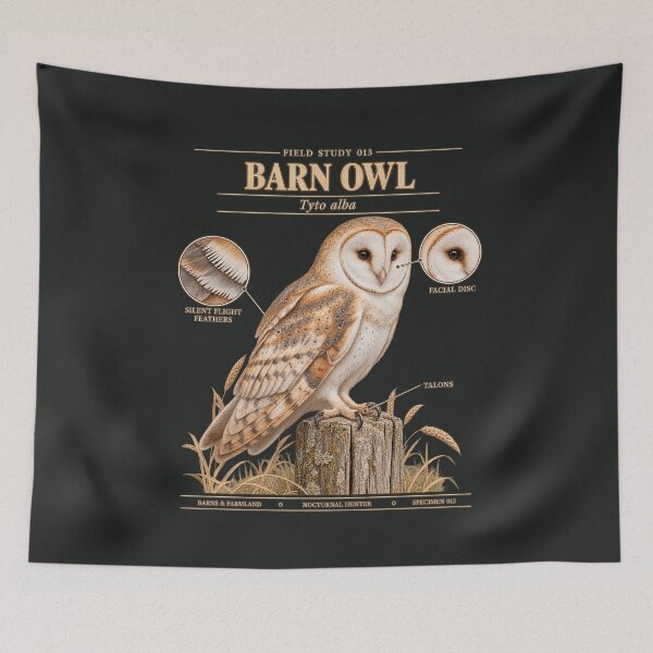 Item preview, Barn Owl Scientific Illustration Natural History Field Study designed and sold by CalmCapy Co.