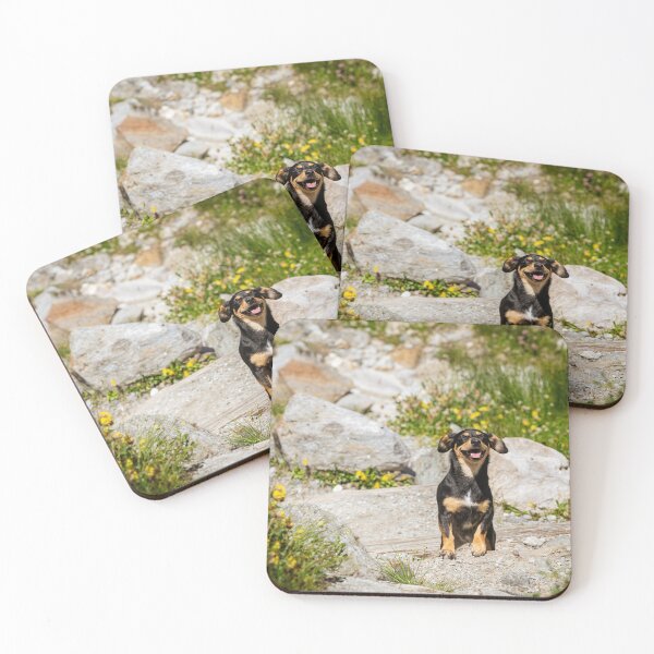 Item preview, Mountain Dog – Adventure in the Alps designed and sold by alicjamiekina.