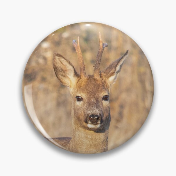 Item preview, Roe Buck in Golden Meadow designed and sold by Medve Photography & Design.