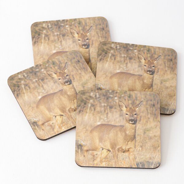Item preview, Roe Buck in Golden Meadow designed and sold by Medve Photography & Design.