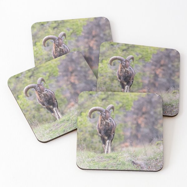 Item preview, Mouflon Ram on a Forest Path designed and sold by gabormedve.