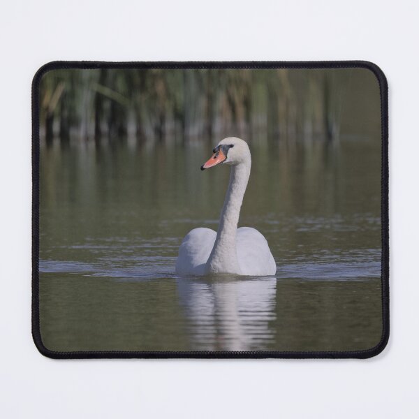 Item preview, Frozen reality - Beautiful nature 1170 designed and sold by deep-sea-birds.