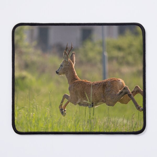 Item preview, Roe Buck Leaping Through Summer Meadow designed and sold by gabormedve.