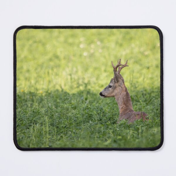 Item preview, Roe Buck Resting in Green Meadow designed and sold by gabormedve.