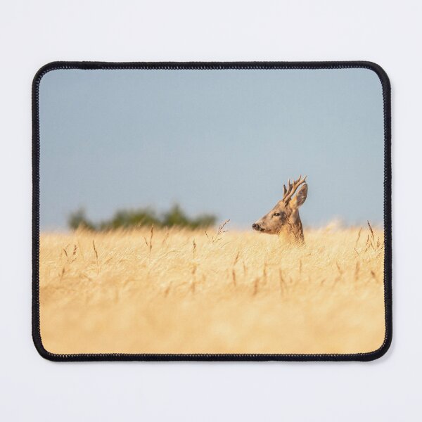 Item preview, Roe Buck in Golden Wheat designed and sold by gabormedve.