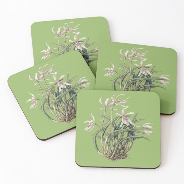 Item preview, Leptotes Bicolor: The Vanilla Imposter Brazilian Orchid Fine Art Print designed and sold by FreiherrPK.