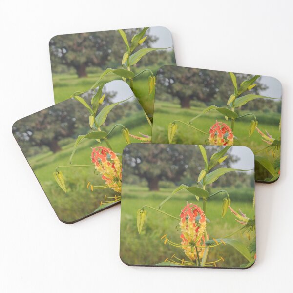 Item preview, Fairy Rainbow Meadow designed and sold by Sakibyasrhan.