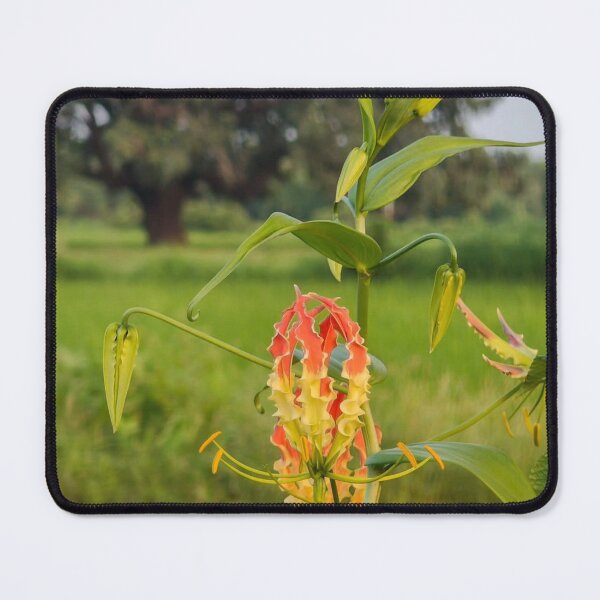 Item preview, Fairy TypeScript bRainbow Meadow designed and sold by Sakibyasrhan.