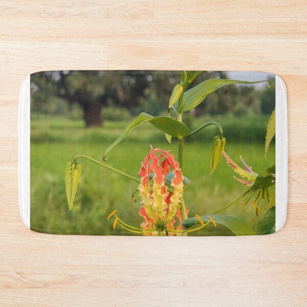 Item preview, Fairy TypeScript bRainbow Meadow designed and sold by Sakibyasrhan.