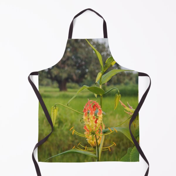 Item preview, Fairy Rainbow Meadow designed and sold by Sakibyasrhan.