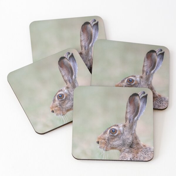Item preview, European Brown Hare Close-Up designed and sold by Medve Photography & Design.
