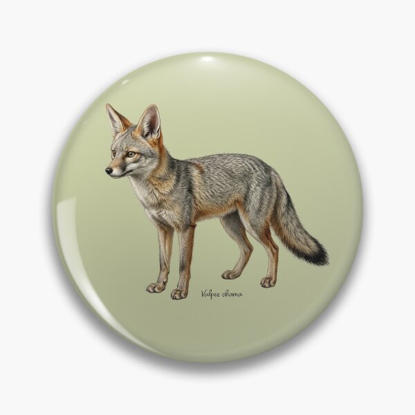 Item preview, Cape Fox: The Silver Ghost of the Karoo Wildlife Fine Art Print designed and sold by FreiherrPK.