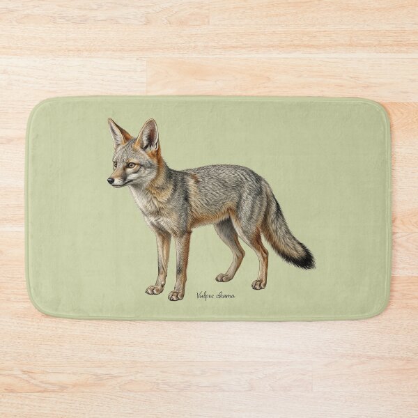 Item preview, Cape Fox: The Silver Ghost of the Karoo Wildlife Fine Art Print designed and sold by FreiherrPK.