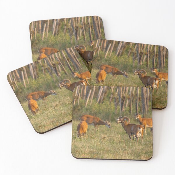 Item preview, The Scent of Love – Mouflon Rut designed and sold by gabormedve.