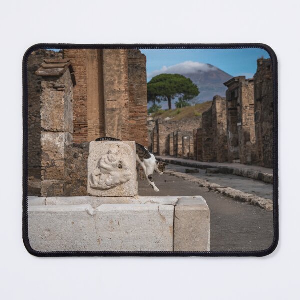 Item preview, Cats of Pompeii designed and sold by roxyladytron85.