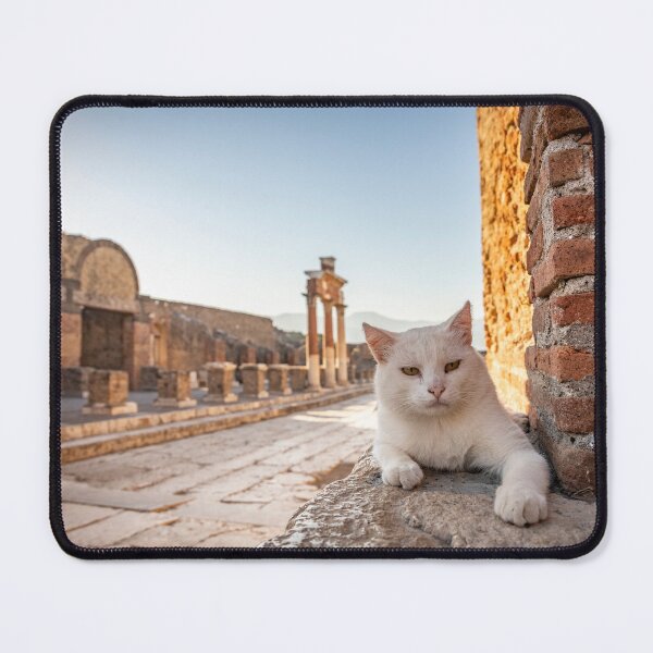 Item preview, Cats of Pompeii #2 designed and sold by roxyladytron85.