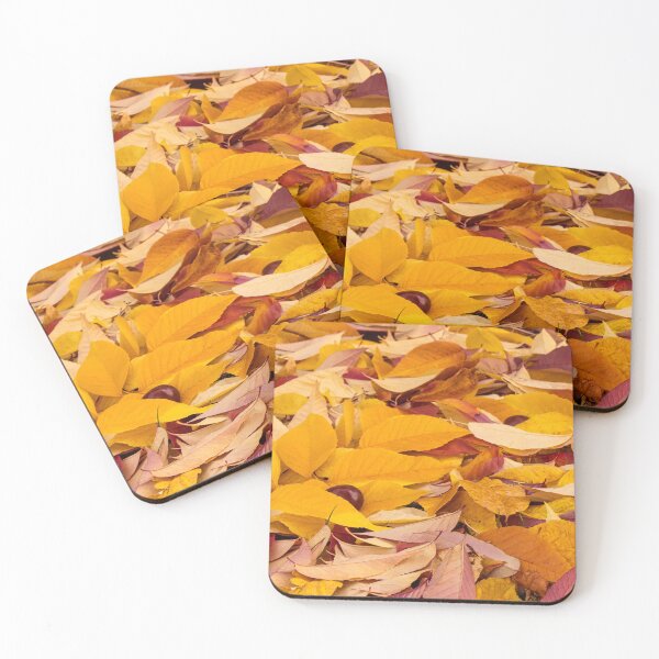 Item preview, Hidden chestnut among the leaves designed and sold by Rod Raglin.