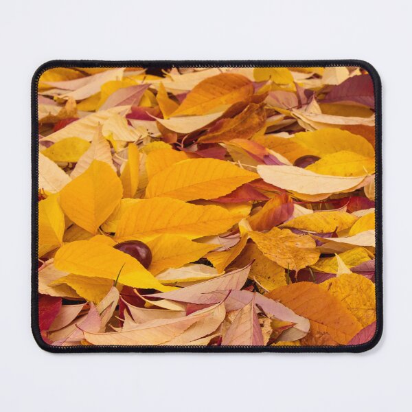 Item preview, Hidden chestnut among the leaves designed and sold by Rod Raglin.