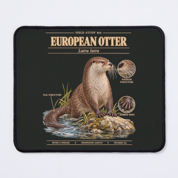 Item preview, Otter Scientific Illustration Natural History Field Study designed and sold by CalmCapy Co.