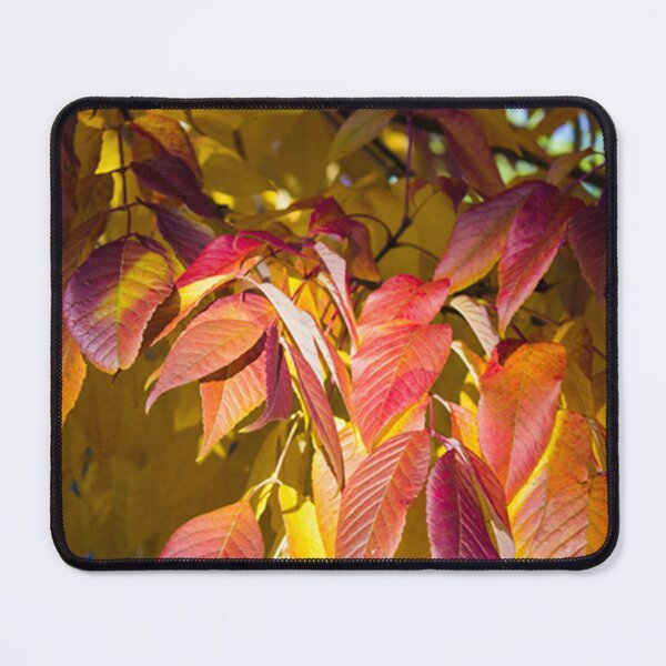 Item preview, Autumn spotlight designed and sold by Rod Raglin.