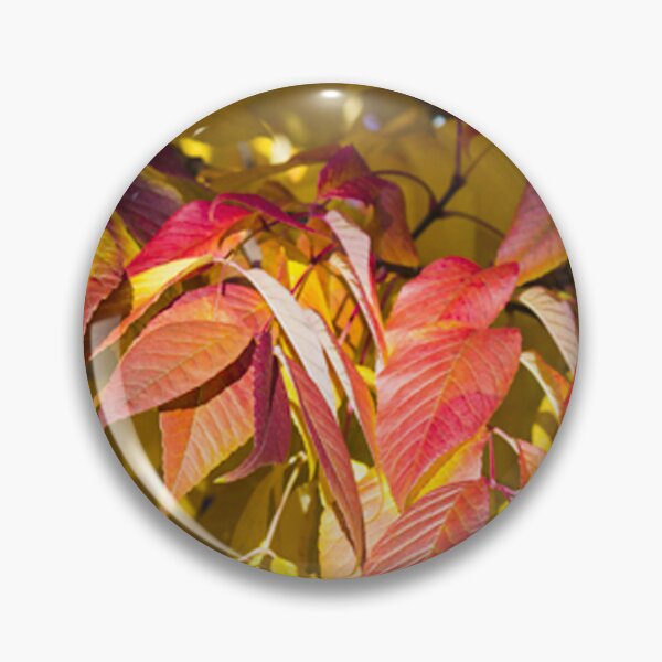 Item preview, Autumn spotlight designed and sold by Rod Raglin.