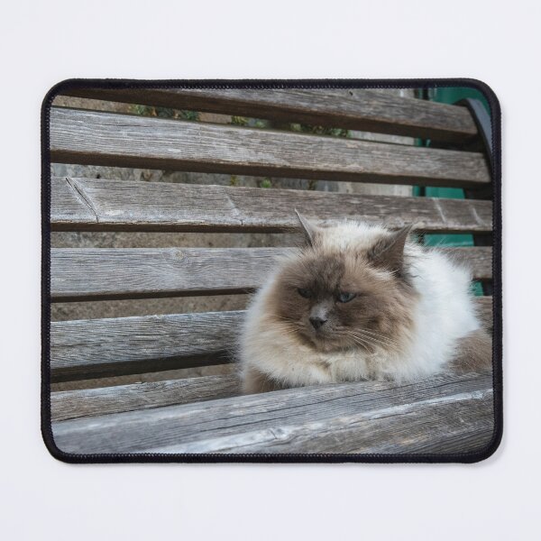 Item preview, Cats of Maremma designed and sold by roxyladytron85.