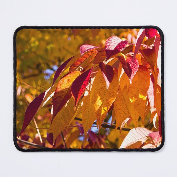 Item preview, Autumn cascade designed and sold by Rod Raglin.