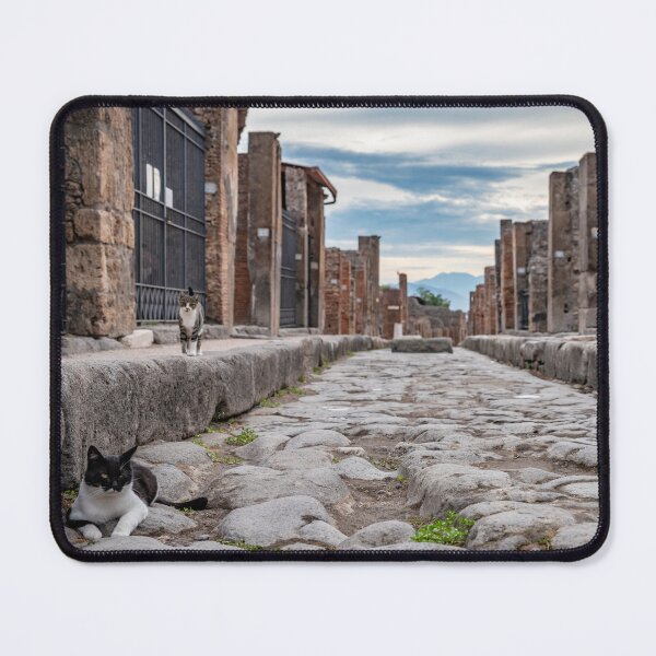 Item preview, Cats of Pompeii #3 designed and sold by roxyladytron85.