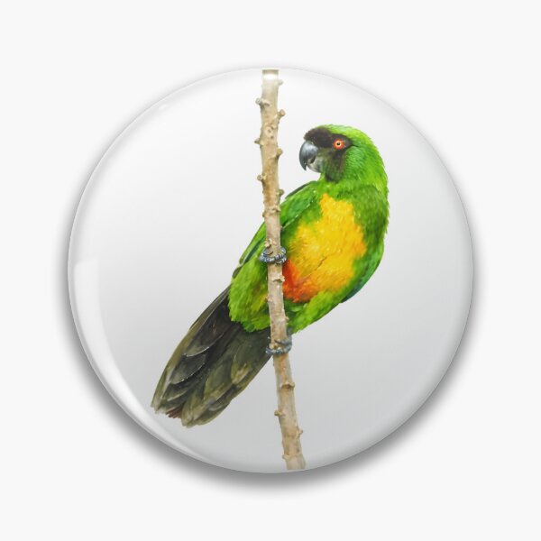 Item preview, Masked shining-parrot (Prosopeia personata) designed and sold by HOMETOWN86.