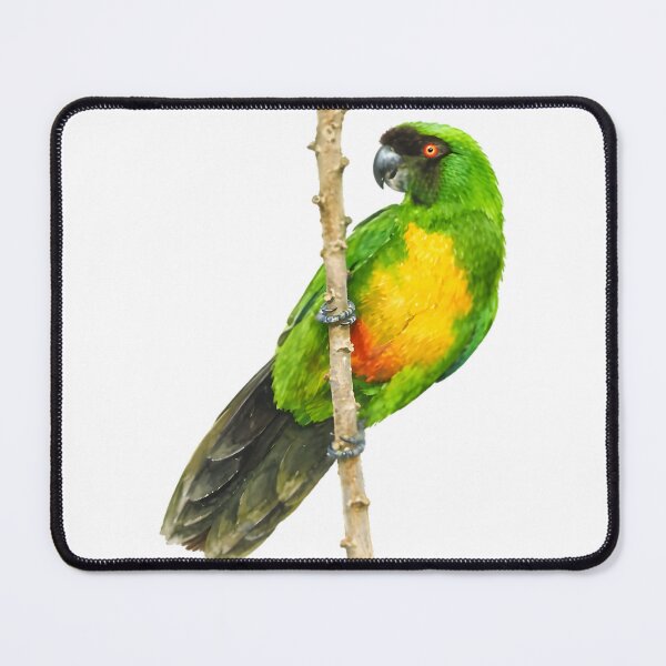Item preview, Masked shining-parrot (Prosopeia personata) designed and sold by HOMETOWN86.