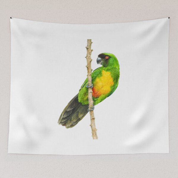 Item preview, Masked shining-parrot (Prosopeia personata) designed and sold by HOMETOWN86.